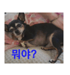 ちびこの可愛い日常（個別スタンプ：6）