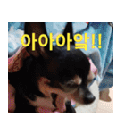 ちびこの可愛い日常（個別スタンプ：9）