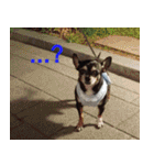 ちびこの可愛い日常（個別スタンプ：11）