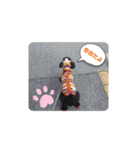 エルモとジーノの日常スタンプ（個別スタンプ：14）