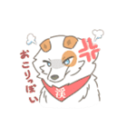 トカゲとケイちゃん（個別スタンプ：4）