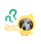 ASHくん。（個別スタンプ：8）