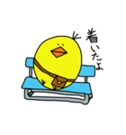ぴぴぴのぴよすけ（個別スタンプ：20）