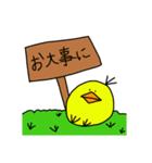 ぴぴぴのぴよすけ（個別スタンプ：24）