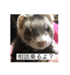 ここぽんれお（個別スタンプ：10）