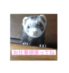 ここぽんれお（個別スタンプ：15）