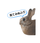 うるのスタンプ2（個別スタンプ：2）