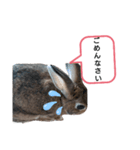 うるのスタンプ2（個別スタンプ：6）