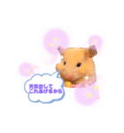 ハムハムハムなハムちゃん②（個別スタンプ：3）