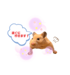 ハムハムハムなハムちゃん②（個別スタンプ：5）
