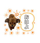 しんぱち＆ちょぱスタンプ（個別スタンプ：3）