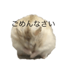 イエロージャンガリアン「プリン^_^」（個別スタンプ：3）