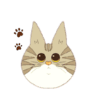 やる気のない猫、ちゃぼとその友達しろ（個別スタンプ：32）