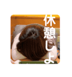 尼っ子るり（個別スタンプ：9）