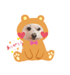 しろいふわふわんわん（個別スタンプ：8）