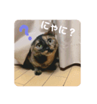 かぐらです。（個別スタンプ：6）