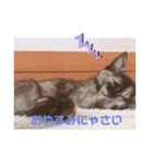 かぐらです。（個別スタンプ：7）