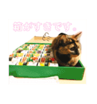 かぐらです。（個別スタンプ：8）
