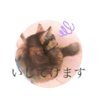 かぐらです。（個別スタンプ：12）