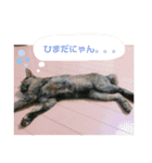 かぐらです。（個別スタンプ：14）