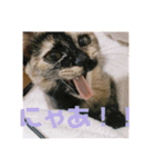 かぐらです。（個別スタンプ：15）