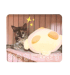 かぐらです。（個別スタンプ：16）