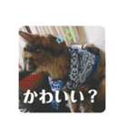 かぐらです。（個別スタンプ：19）