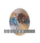 かぐらです。（個別スタンプ：20）