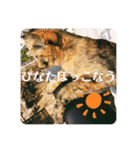 かぐらです。（個別スタンプ：21）