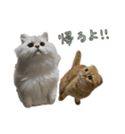 おサニとピース2（個別スタンプ：18）