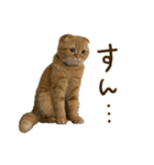おサニとピース2（個別スタンプ：32）