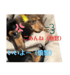 カニヘンダックスズ（個別スタンプ：1）