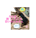 カニヘンダックスズ（個別スタンプ：7）
