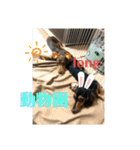 カニヘンダックスズ（個別スタンプ：8）