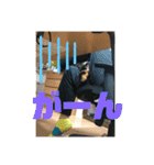 カニヘンダックスズ（個別スタンプ：10）