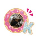 カニヘンダックスズ（個別スタンプ：17）