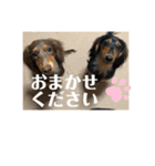 カニヘンダックスズ（個別スタンプ：25）