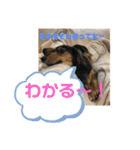 カニヘンダックスズ（個別スタンプ：32）