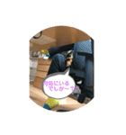 カニヘンダックスズ（個別スタンプ：38）