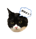 ルークくんスタンプ（個別スタンプ：1）