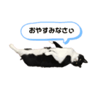 ルークくんスタンプ（個別スタンプ：2）