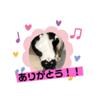 ルークくんスタンプ（個別スタンプ：4）