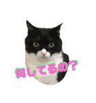 ルークくんスタンプ（個別スタンプ：7）