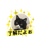ルークくんスタンプ（個別スタンプ：8）