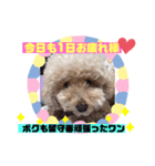 ぷーすけスタンプ2（個別スタンプ：4）