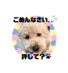 ぷーすけスタンプ2（個別スタンプ：5）