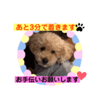 ぷーすけスタンプ2（個別スタンプ：6）