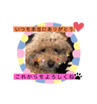 ぷーすけスタンプ2（個別スタンプ：7）
