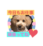ぷーすけスタンプ2（個別スタンプ：8）
