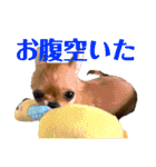 極小チワワのチャイ①（個別スタンプ：16）